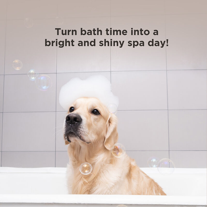 BioSilk For Dogs Whitening Shampoo, , large image number null